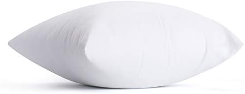 Calibrate Timing 20 x 20 inches Pillow Inserts, Set of 6