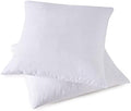 Throw Pillow Inserts, Set of 2 Down Feather Pillows Inserts Bed and