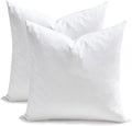 TOPGREEN Feather Down Throw Pillow Inserts 18 x 18, Set of 2, 100%