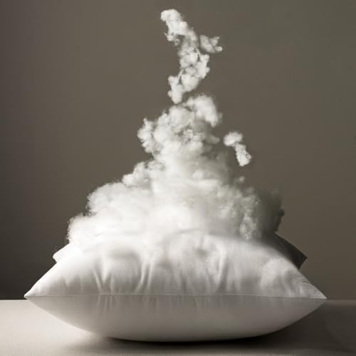 MIULEE 18x18 Pillow Inserts Pack of 2,Down Alternative Throw Pillows