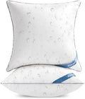 Atarashi 20 x 20 Outdoor Pillow Inserts(Set of 2) - Waterproof