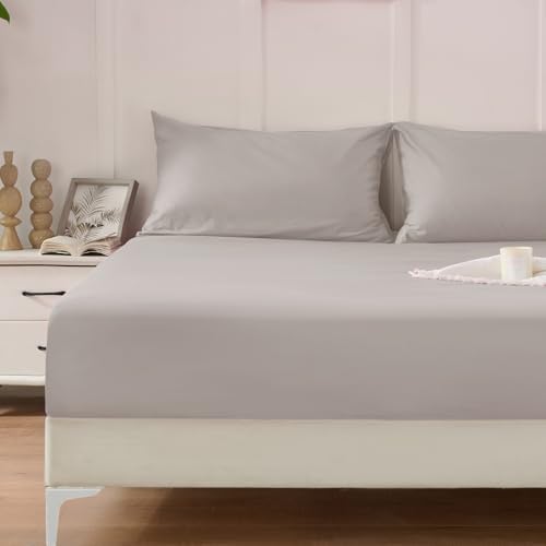 Homiest Beige Cotton Fitted Sheet & Pillowcase Set, Twin 400TC