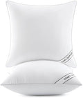 MIULEE 20x20 Pillows Inserts Pack of 2, Down Alternative Virgin