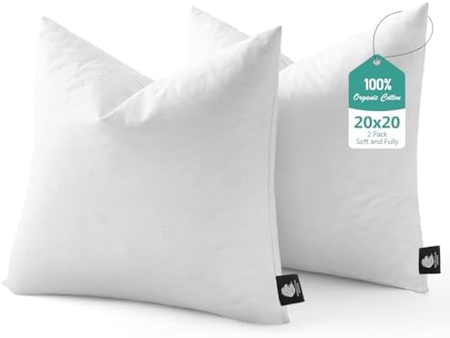 BPC Luxury Feather Down 20x20 Pillow Inserts Set of 2, Soft Fluffy