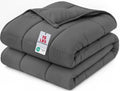 Weighted Blanket Queen Size 60x80 Inch, 15 lbs Heavy Blanket, Grey