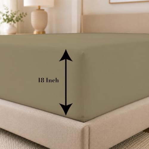 1 PC Fitted Sheet Only Family XL 144" W × 84" L Size, 100% Egyptian