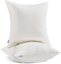 Leeden 20 x 20 Throw Pillow Inserts Set of 2 Pillow Forms for Sofa