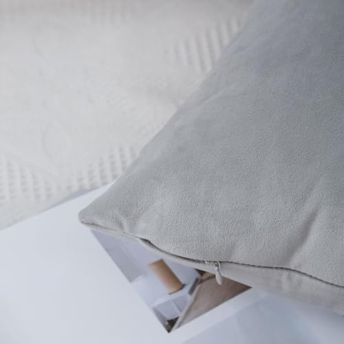 MoonRest - Pack of 2, Velvet Decorative Pillow Cover Set, Cozy Soft