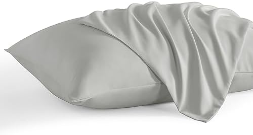 NTBAY Standard Microfiber Pillowcases, Set of 2, Light Grey