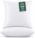 20x20 Pillow Insert(Set of 2) Soft & Fluffy Decorative Down