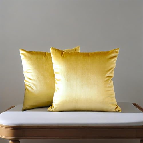 Hibate 2 Pack Soft Velvet Couch Throw Pillow Covers 20x20 Inch for