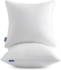 MIULEE 20x20 Inch Pillow Inserts Pack of 2 with Textured Woven Fabric