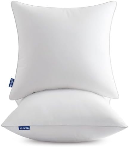 MIULEE 20x20 Inch Pillow Inserts Pack of 2 with Textured Woven Fabric