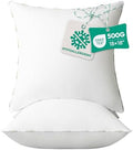 Ashler Hypoallergenic Throw Pillow Inserts, 18 x 18 Pillow Inserts Set