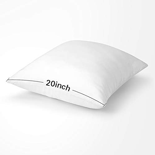 OTOSTAR 20x20Inch Throw Pillow Inserts, Set of 2 Square Form Cushion