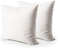 EDOW Throw Pillow Insert, Set of 2 Down Alternative Polyester Square