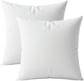 Digital Decor Decorative Throw Pillow Inserts 20x20 Set of 2, Soft