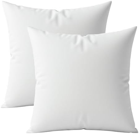 Digital Decor Decorative Throw Pillow Inserts 20x20 Set of 2, Soft