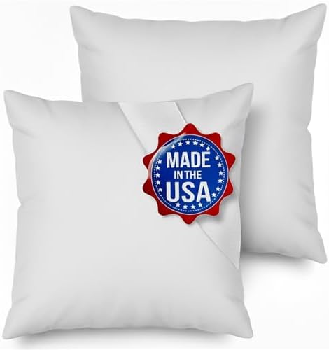 MSD 2 Pack Pillow Insert 20X20 Hypoallergenic Square Form Sham Stuffer