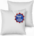 MSD 2 Pack Pillow Insert 20X20 Hypoallergenic Square Form Sham Stuffer