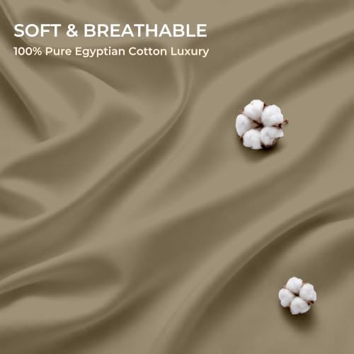 Kotton Culture Bed Sheets 4 Piece 100% Egyptian Cotton 600 Thread