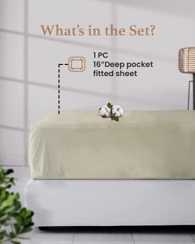 800 TC Fitted California King Sheet Only, 100% Egyptian Cotton - Ivory