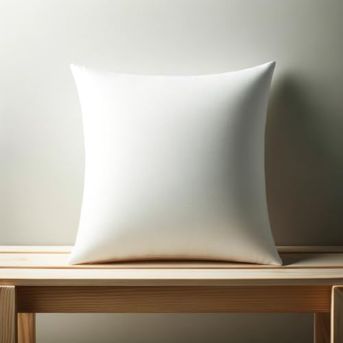 Calibrate Timing Plush and Durable Throw Pillow Inserts