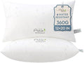Ashler 12 x 20 Waterproof Throw Pillow Inserts Set of 2, Outdoor