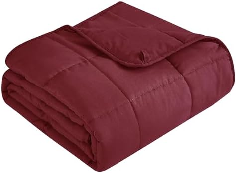 Topcee Weighted Blanket for Adults (20 lbs, 60" x 80") Queen Size Soft