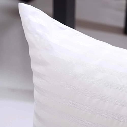 EvZ Set of 2 Overstuffed Pillow Inserts 18x18 - Premium Soft Square
