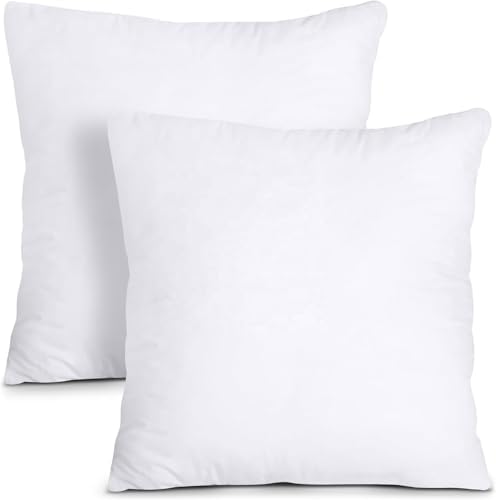 Throw Pillow Inserts, 20x20 Inch Soft Down Alternative Cushion for