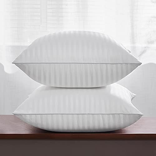 Oubonun 20 x 20 Throw Pillow Inserts Set of 2