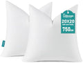 Oubonun 20 x 20 Down Feather Throw Pillow Inserts