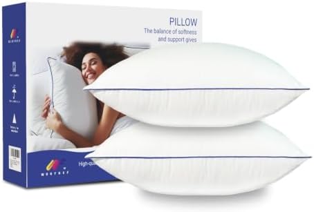 20x20 Pillow Inserts Set of 2, Soft Hypoallergenic Square Throw Pillow
