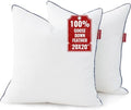 Down Pillow Inserts 20x20, Set of 2, 100% Goose Down Feather Throw