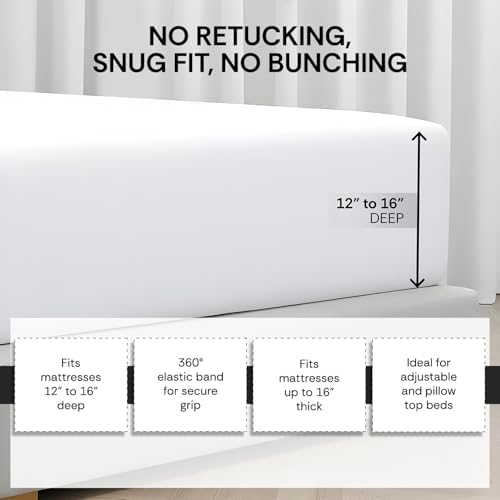 100% Egyptian Cotton California King Fitted Sheet, 800 TC, Soft, White