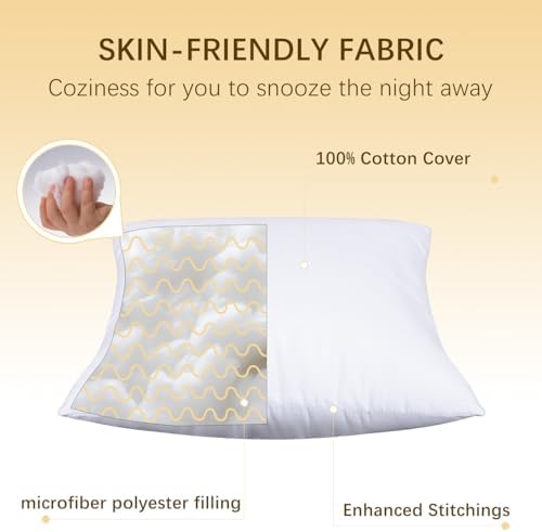 OKBA Throw Pillows Insert Set of 2, with 100% Cotton Cover,Bed and