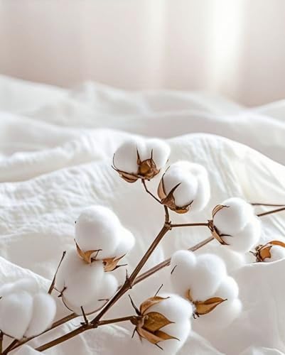 Queen Size Flat Sheet Only, Soft 300 Thread Count 100% Cotton Sheets