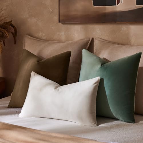 JUSPURBET Decorative Velvet Throw Pillow Covers 20x20 Set of 2,Brown