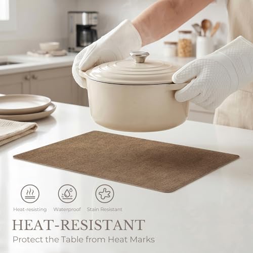 Romanstile Faux Leather Vinyl Placemats Set of 6, Brown