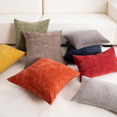 Aegero Pack of 2 Chenille Decorative Throw Pillow Covers 18x18 Inch
