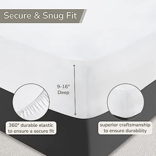100% Egyptian Cotton King Sheets Dark Grey, 1000 Series, 16" Deep