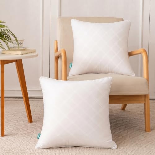 Oubonun 20x20 Throw Pillow Inserts Set of 2, Soft Decorative Couch