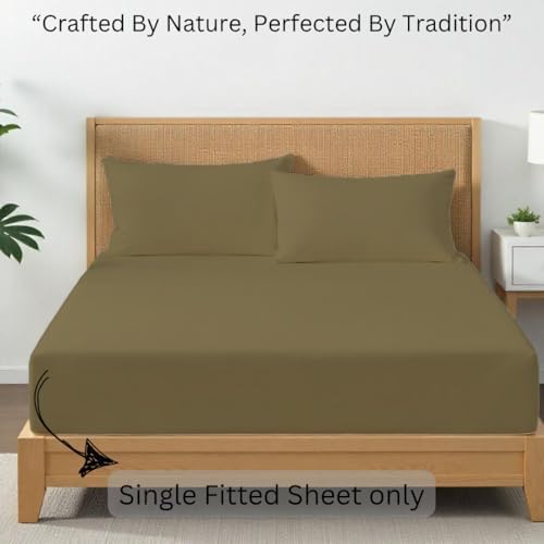 Taupe Queen Fitted Sheet Only 1PC 100% Egyptian Cotton 800 Thread