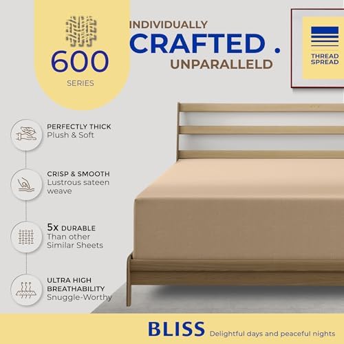 Thread Spread 100% Egyptian Cotton Full Size Fitted Sheet Only - 600