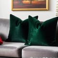 FEVERQIYI 22x22 Velvet Pillow Covers Set of 2 Army Green Decorative