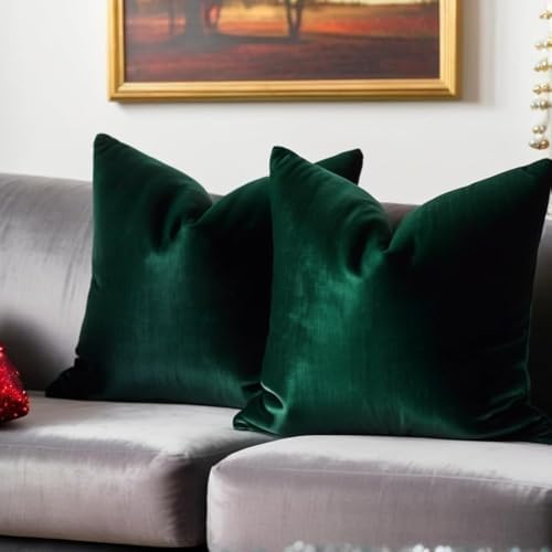 FEVERQIYI 22x22 Velvet Pillow Covers Set of 2 Army Green Decorative