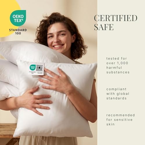 Hearth & Harbor 20x20 Pillow Inserts Set of 2 – Square Throw Pillow
