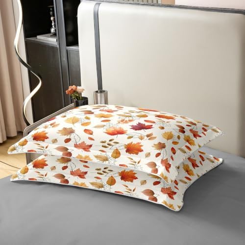 Manfei Maple Leaves Girls Bedding Set Twin Size 100% Cotton, Autumn