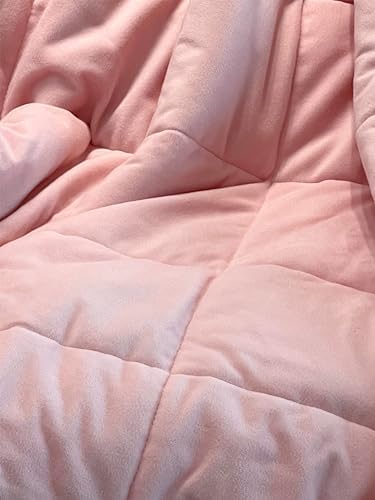 Sherpa Weighted Blanket for All Season,Both Sides Pink 10Lbs